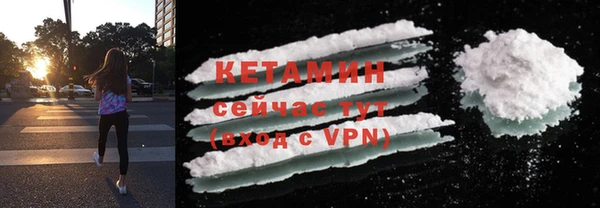 ешки Новодвинск
