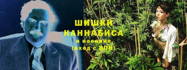 ПСИЛОЦИБИНОВЫЕ ГРИБЫ Заволжск